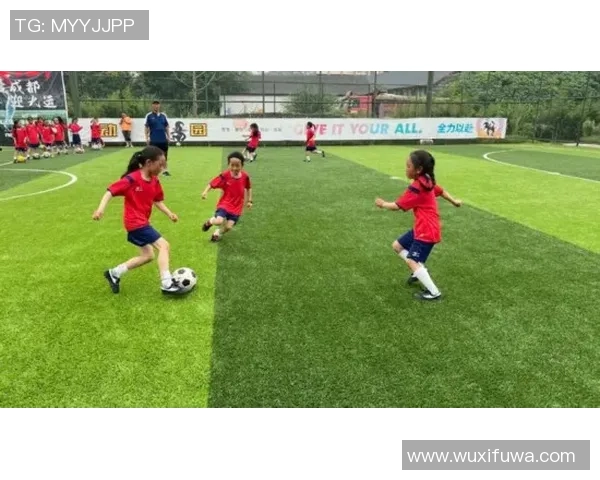 专为小学生设计的足球星带印字款式,助力孩子足球梦想的启蒙利器 专为小学生设计的足球星带印字款式,助力孩子足球梦想的启蒙利器